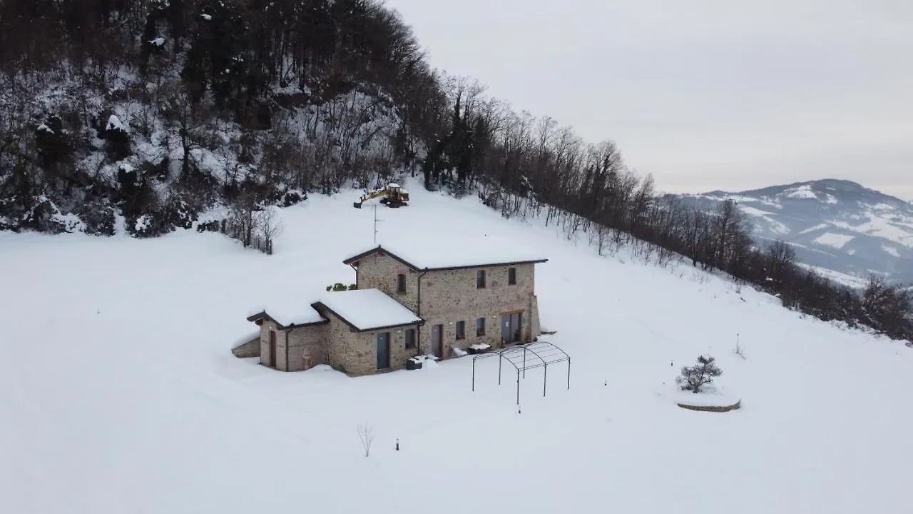 Ca' del Passero b&b Vigoleno 0*,